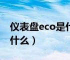 仪表盘eco是什么意思（仪表盘eco灯亮表示什么）