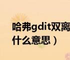 哈弗gdit双离合是什么意思（哈弗的gdit是什么意思）