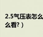 2.5气压表怎么看图解（汽车气压表2.5气压怎么看?）