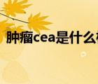 肿瘤cea是什么检查（肿瘤CEA是什么意思）