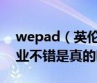 wepad（英伦pad好用吗听说这香港英伦金业不错是真的吗）