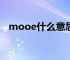 mooe什么意思（mooe车上是什么意思）