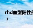 rhd血型阳性是好的吗（rhd血型阳性正常吗）