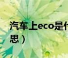 汽车上eco是什么模式（汽车上eco是什么意思）