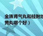 金匮肾气丸和桂附地黄丸哪个治早泄（金匮肾气丸和桂附地黄丸哪个好）