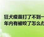 狂犬疫苗打了不到一年,在被咬了要怎么打（打过狂犬疫苗一年内有被咬了怎么办）