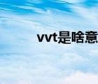 vvt是啥意思（vvt系统什么意思）