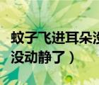 蚊子飞进耳朵没动静大力吸气（蚊子飞进耳朵没动静了）