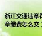 浙江交通违章罚款网上缴费（浙江网上交通违章缴费怎么交）