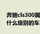 奔驰cls300属于什么级别（奔驰cls300属于什么级别的车）