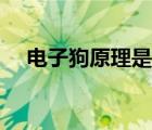 电子狗原理是什么（电子狗原理是什么）