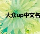 大众up中文名叫什么（大众up是什么车）