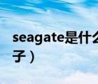 seagate是什么牌子硬盘（seagate是什么牌子）