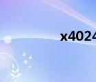 x4024（x402e3217ca）