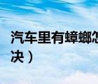 汽车里有蟑螂怎样处理（汽车里有蟑螂怎么解决）