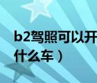 b2驾照可以开什么车型图片（b2驾照可以开什么车）