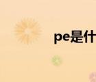 pe是什么职位（pe是什么）