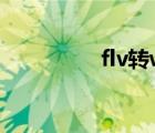 flv转wmv（flv转mp3）