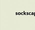 sockscap32（sockscap下载）