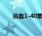 浴血1-40集免费看正版（浴血格斗）