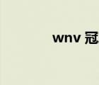 wnv 冠军含金量（wnv cn）