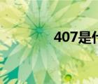 407是什么梗（407是什么）