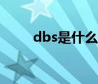 dbs是什么意思（dbs是什么意思）