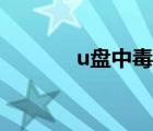 u盘中毒了怎么办（u盘中毒）