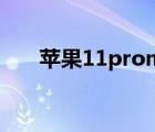 苹果11promax价格（苹果110官网）