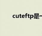 cuteftp是一个什么软件（cuteftp）