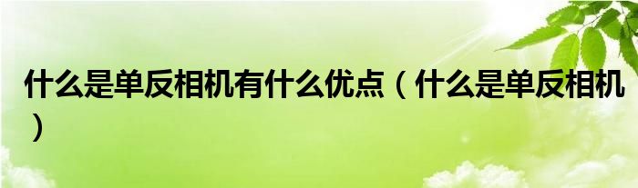 什么是单反相机有什么优点（什么是单反相机）