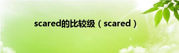 scared的比较级（scared）