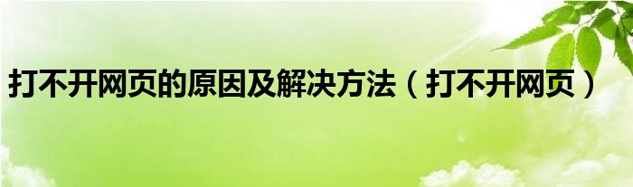 打不开网页的原因及解决方法（打不开网页）