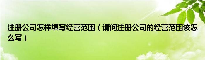 注册公司怎样填写经营范围（请问注册公司的经营范围该怎么写）