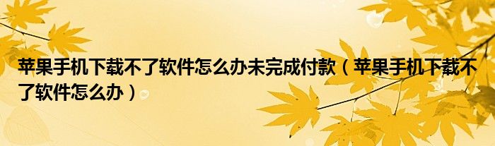 苹果手机下载不了软件怎么办未完成付款（苹果手机下载不了软件怎么办）