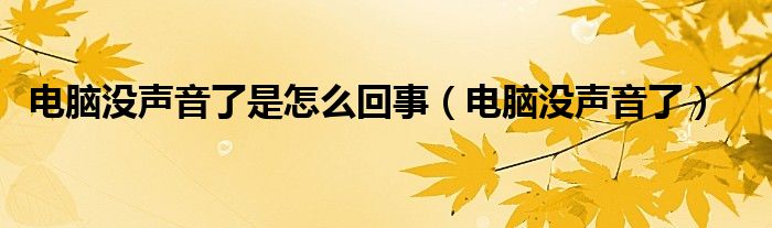 电脑没声音了是怎么回事（电脑没声音了）