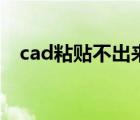 cad粘贴不出来（cad粘贴不了怎么回事）