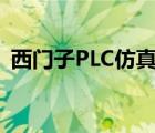 西门子PLC仿真软件,那些指令不能实现功能