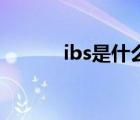 ibs是什么单位（s是什么单位）