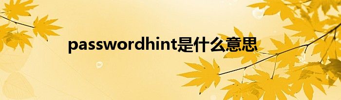 passwordhint是什么意思