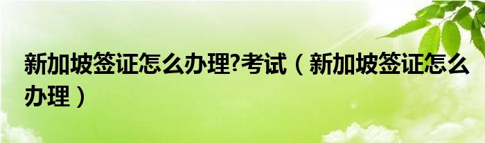 新加坡签证怎么办理?考试（新加坡签证怎么办理）