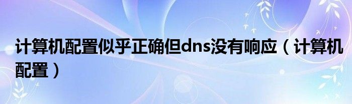 计算机配置似乎正确但dns没有响应（计算机配置）