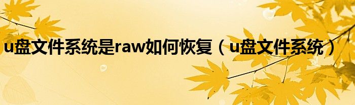 u盘文件系统是raw如何恢复（u盘文件系统）