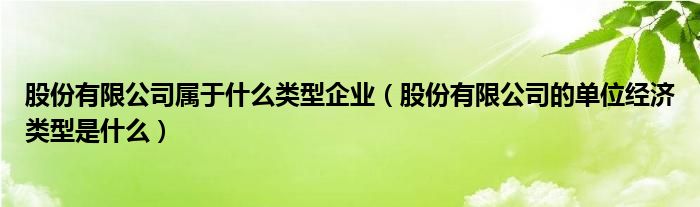 股份有限公司属于什么类型企业（股份有限公司的单位经济类型是什么）