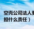 空壳公司法人要承担什么责任（公司法人要承担什么责任）