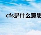 cfs是什么意思（cfs charge是什么费用）