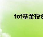 fof基金投资比例的规定（fof基金）