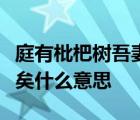 庭有枇杷树吾妻死之年所手植也今已亭亭如盖矣什么意思