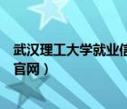 武汉理工大学就业信息网官网（武汉理工大学就业指导中心官网）