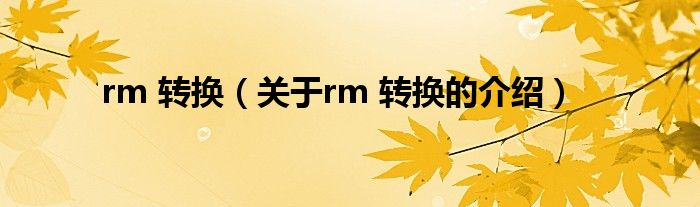 rm 转换（关于rm 转换的介绍）